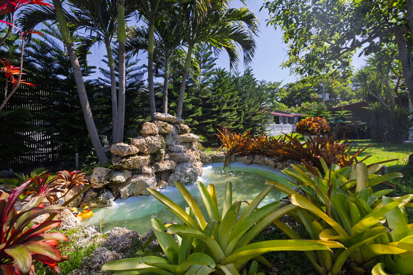 Tropical Garden Waterfall